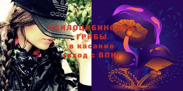 эйфоретик Абинск
