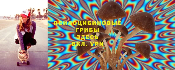 spice Абаза