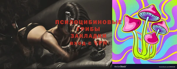 spice Абаза